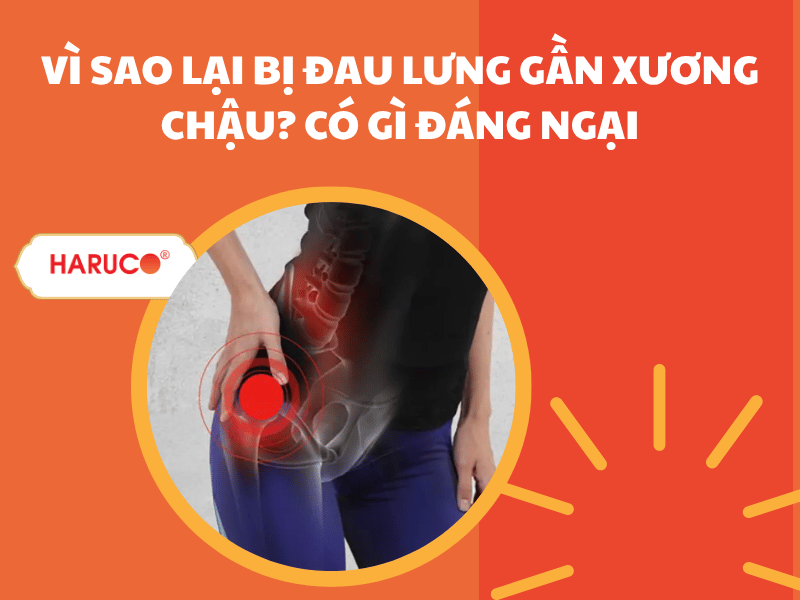Vì sao lại bị đau lưng gần xương chậu? Có gì đáng ngại