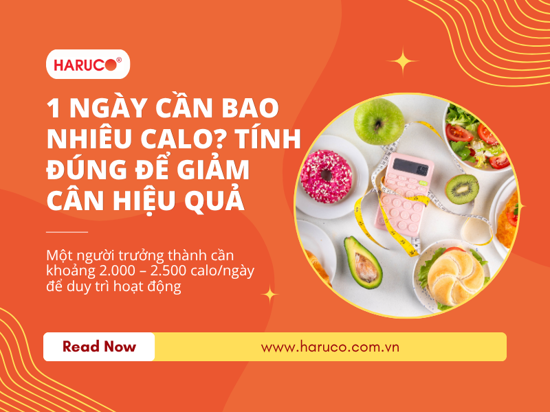 1 ngày cần bao nhiêu calo? Tính đúng để giảm cân hiệu quả