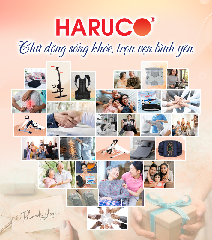 anh gt haruco