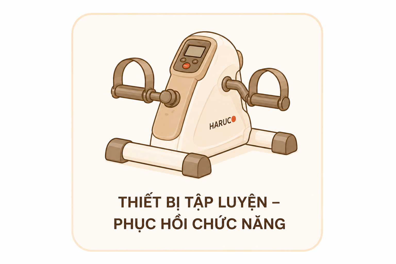 Thiết bị tập luyện – phục hồi chức năng