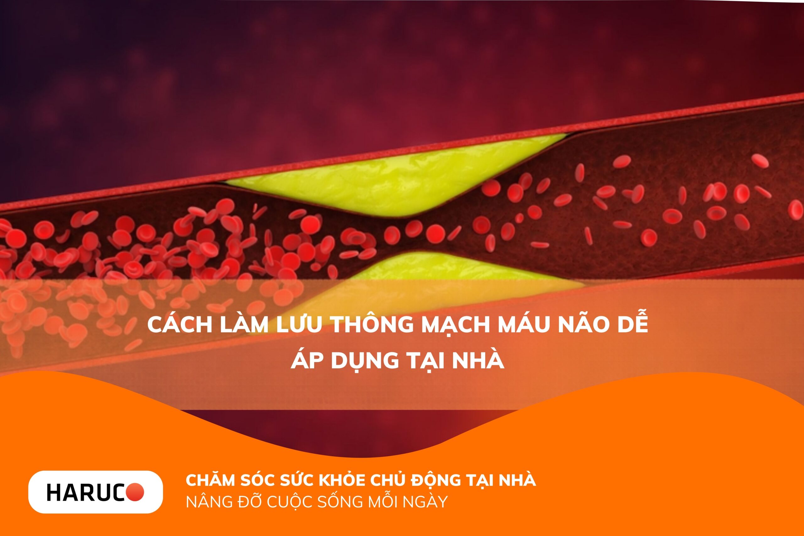 Cách làm lưu thông mạch máu não dễ áp dụng tại nhà
