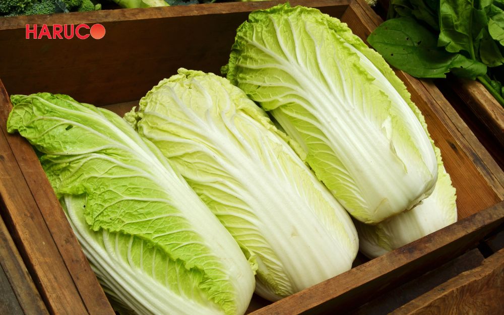 Chọn những bắp cải thảo có màu xanh nhạt ở phần ngọn và trắng sáng dần về phía gốc