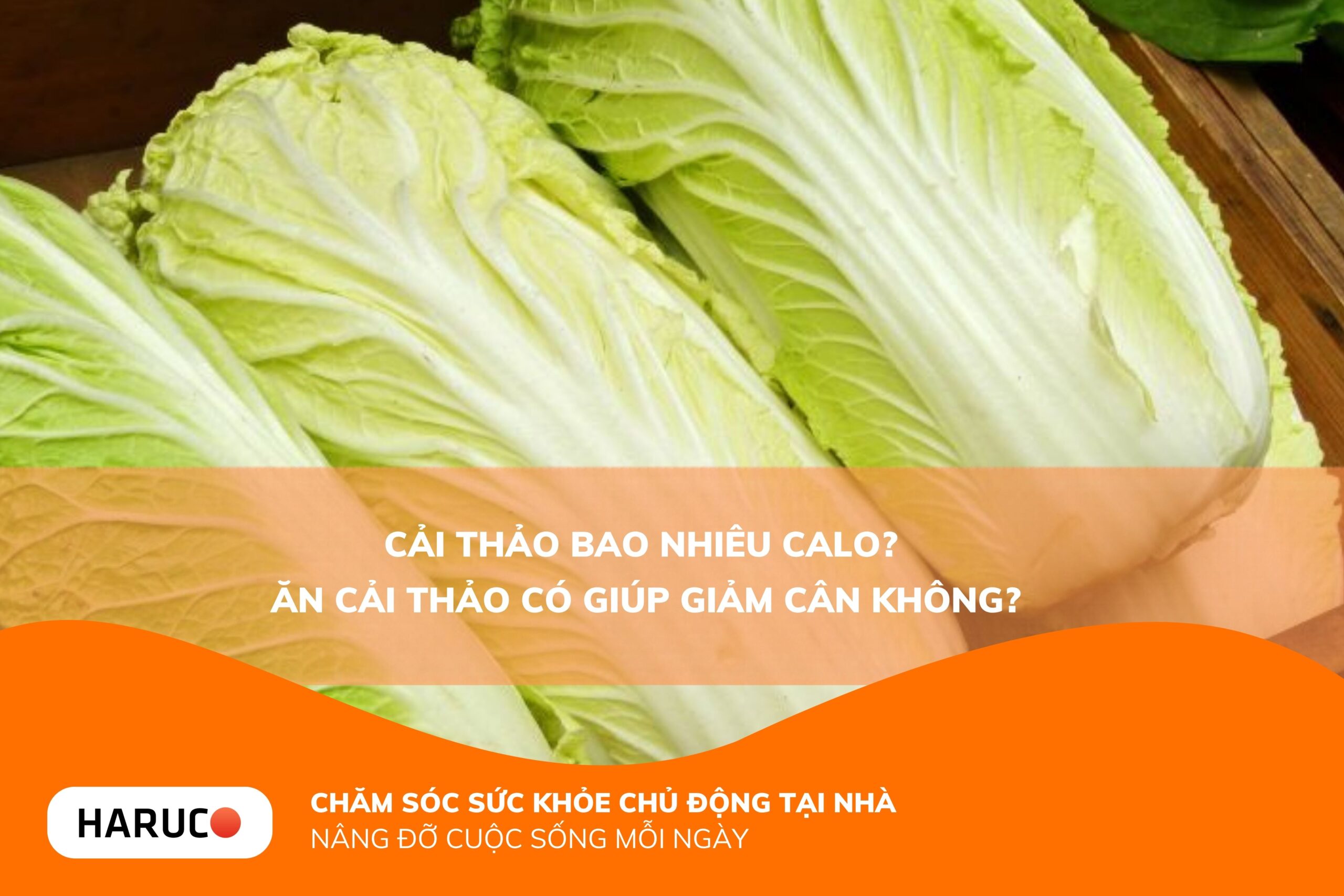 Cải thảo bao nhiêu calo? Có nên đưa cải thảo vào thực đơn giảm cân không?