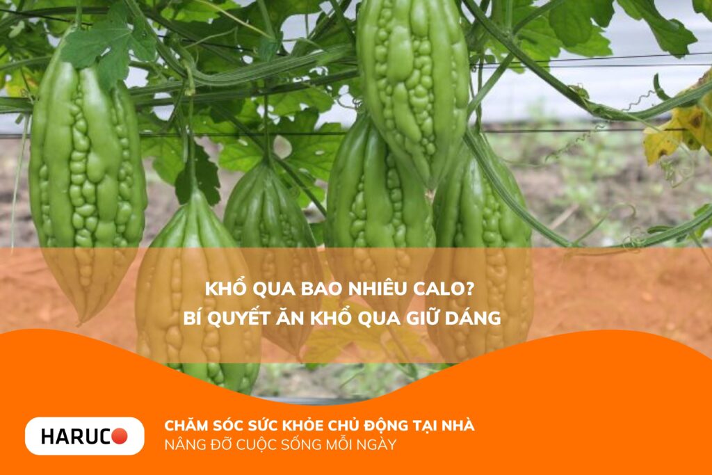Khổ qua bao nhiêu calo? Bật mí các món ăn khổ qua giữ cân, về dáng