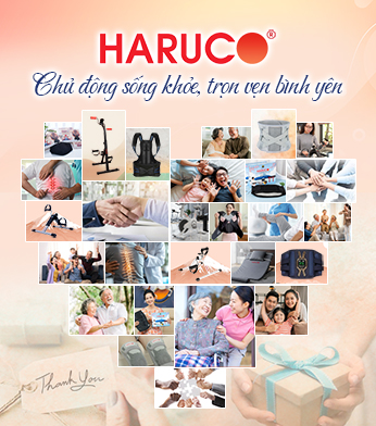 anh gt haruco