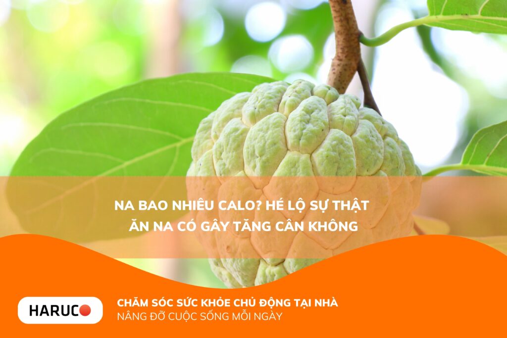 Na bao nhiêu calo? Tìm hiểu lợi ích dinh dưỡng và cách ăn khoa học để giữ dáng