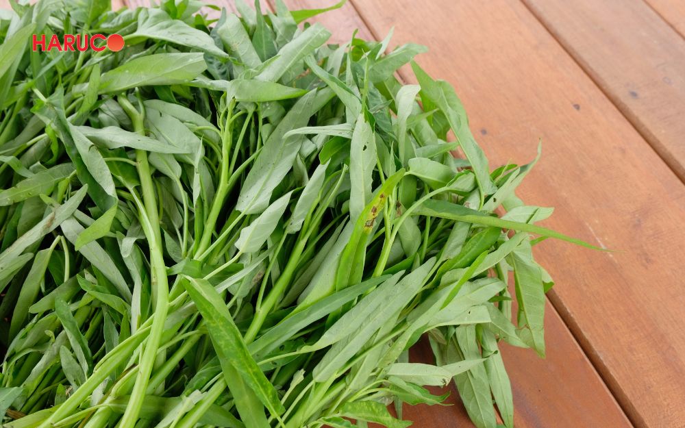 Trong rau muống chứa nhiều thành phần dinh dưỡng có lợi cho sức khỏe