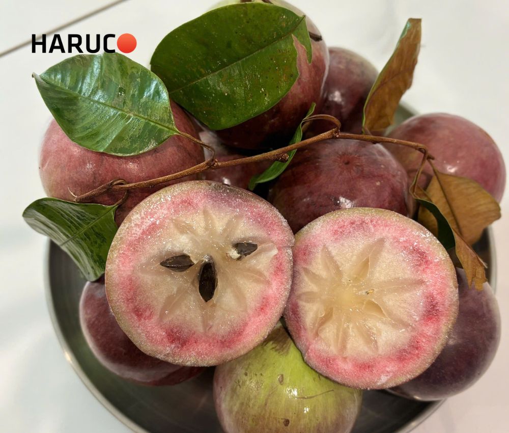 Một quả vú sữa cỡ vừa thường khoảng 67 – 135 calo
