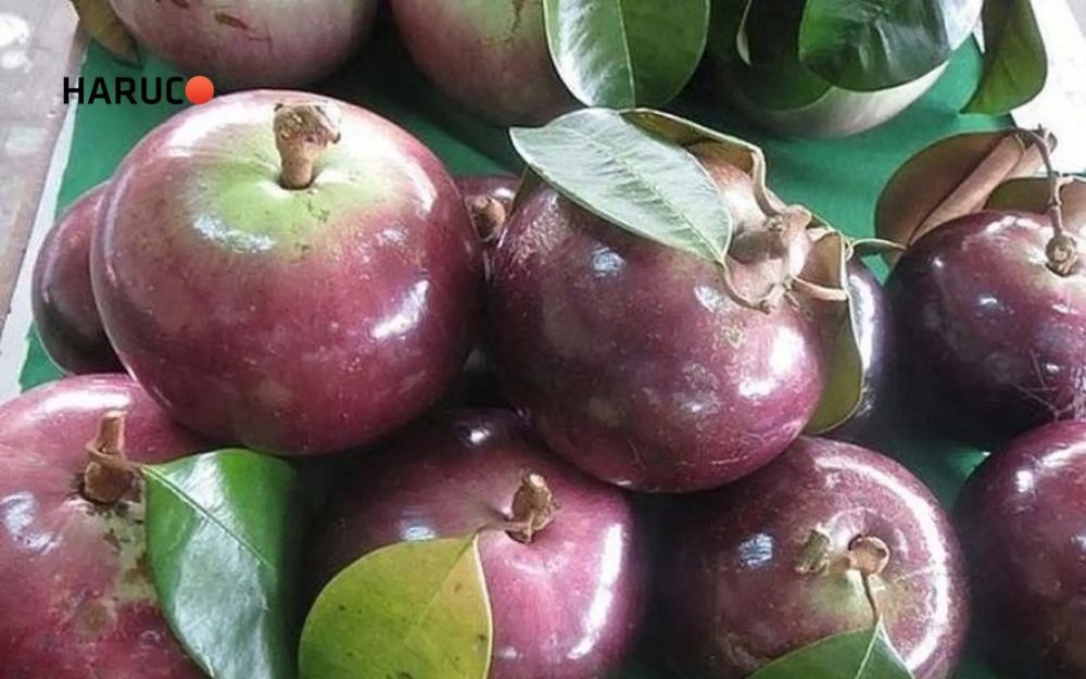 Kali trong vú sữa có tác dụng hỗ trợ cân bằng điện giải và ổn định huyết áp