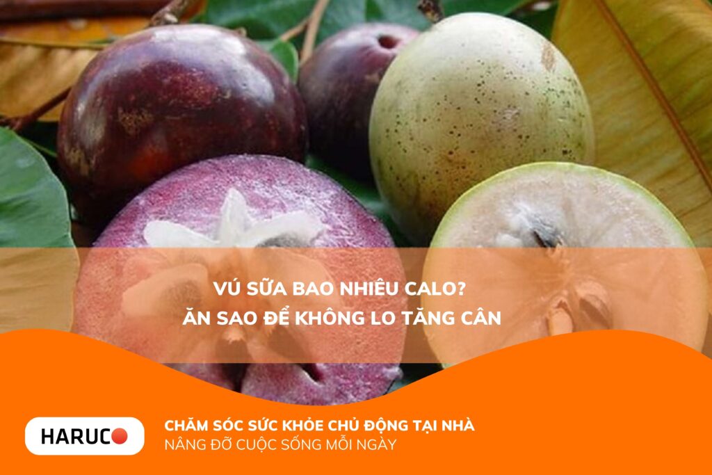 Vú sữa bao nhiêu calo? Ăn vú sữa có béo không và cách ăn tốt cho sức khỏe
