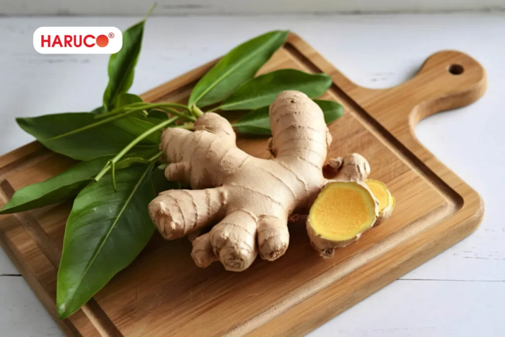 các loại thảo dược ngâm chân tốt