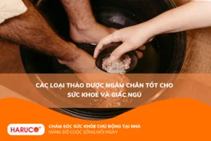 các loại thảo dược ngâm chân tốt