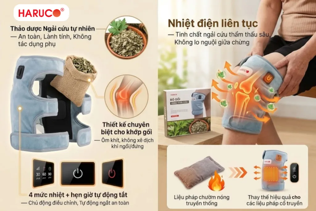 bó gối xông ngải haruco