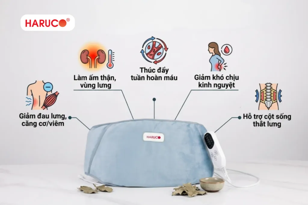 đai lưng xông ngải cứu haruco