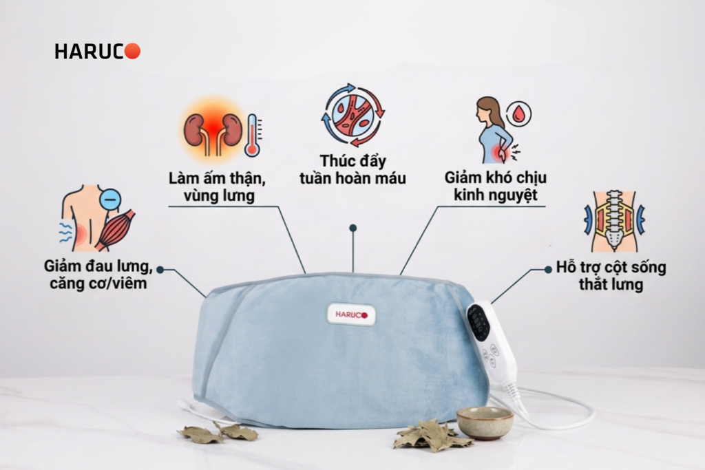 đai lưng xông ngải cứu Haruco
