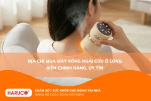 máy xông ngải cứu ở Long Biên