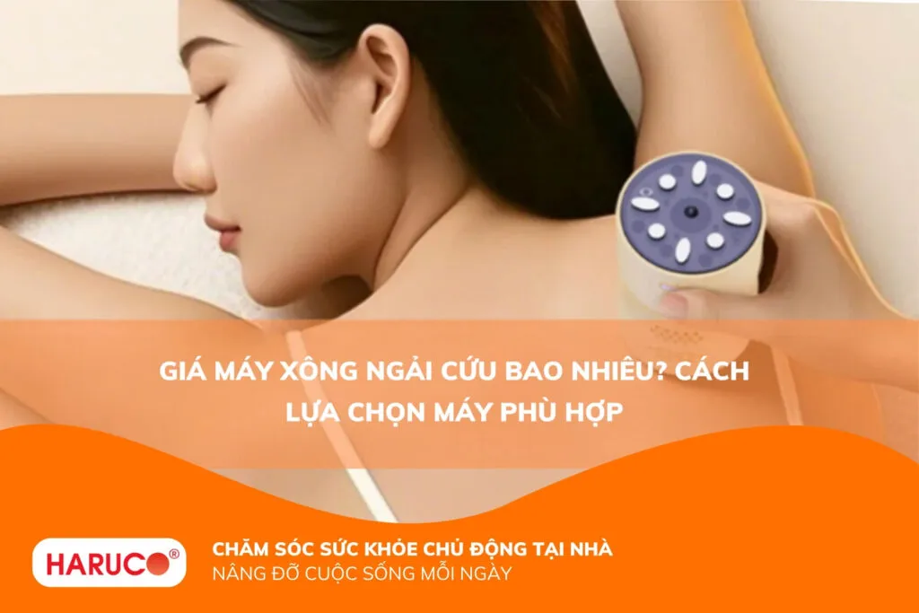 Giá máy xông ngải cứu bao nhiêu? Cách lựa chọn máy phù hợp
