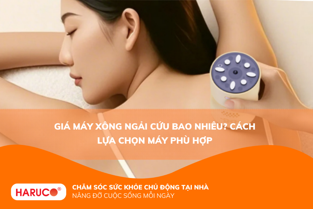 Giá máy xông ngải cứu bao nhiêu? Cách lựa chọn máy phù hợp