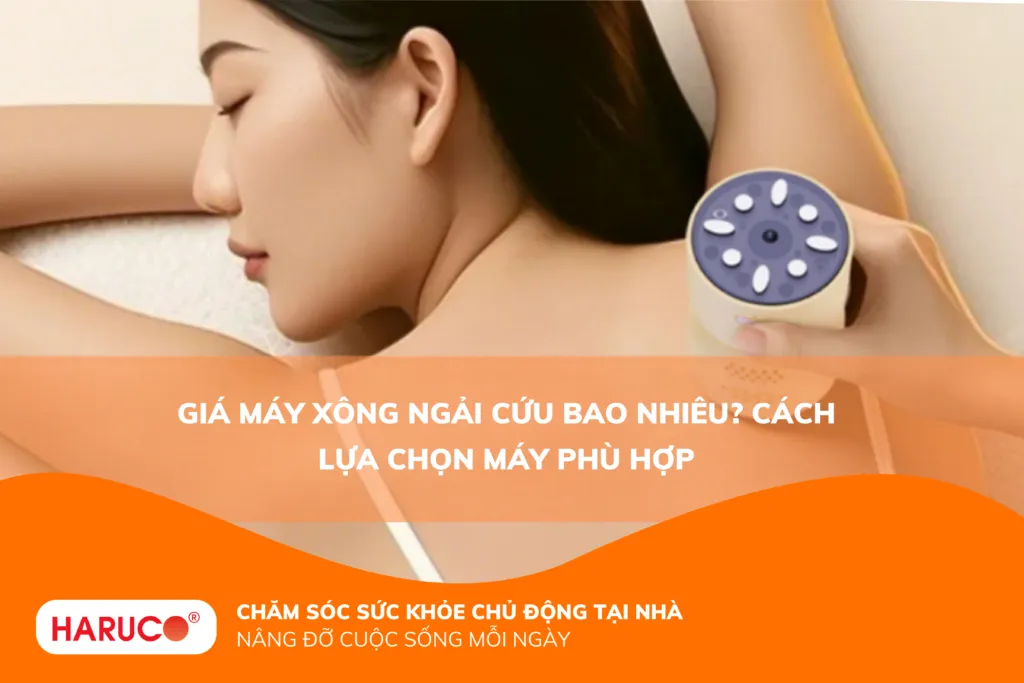 máy xông ngải cứu haruco