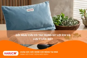 Gối ngải cứu có tác dụng gì? Lợi ích và lưu ý cần biết