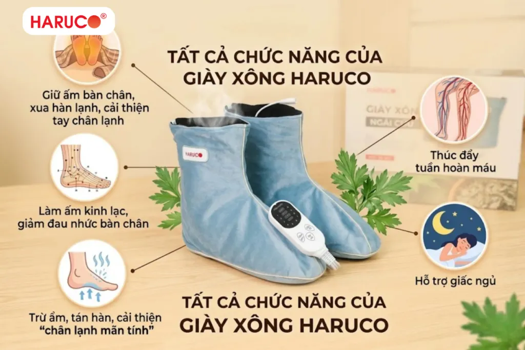 giày xông hơi ngải cứu haruco