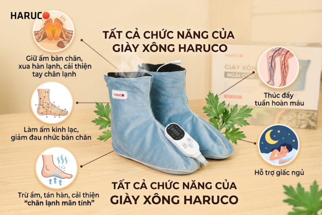 Giày xông ngải cứu Haruco