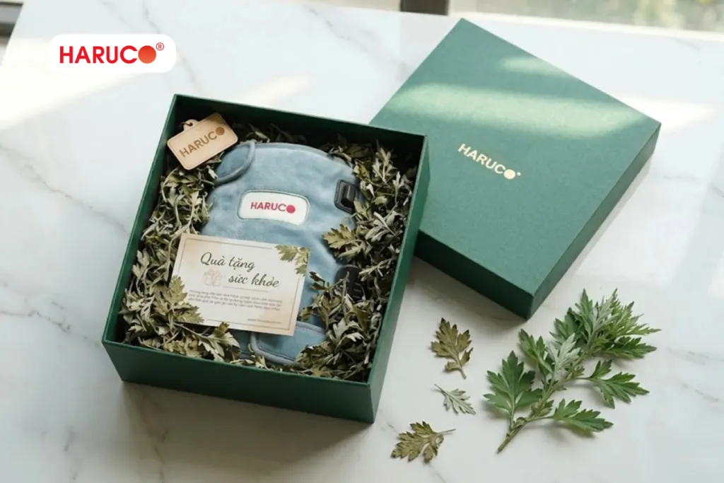 bó gối xông ngải haruco