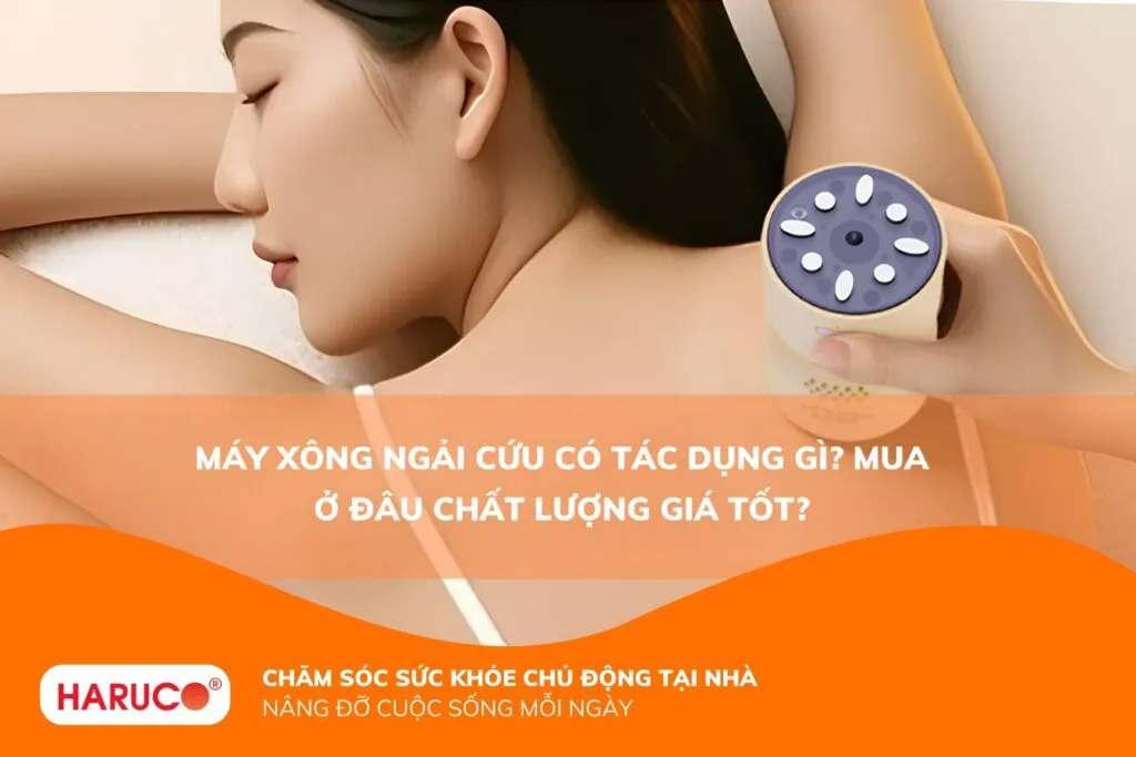 Máy xông ngải cứu có tác dụng gì? Mua ở đâu chất lượng giá tốt?