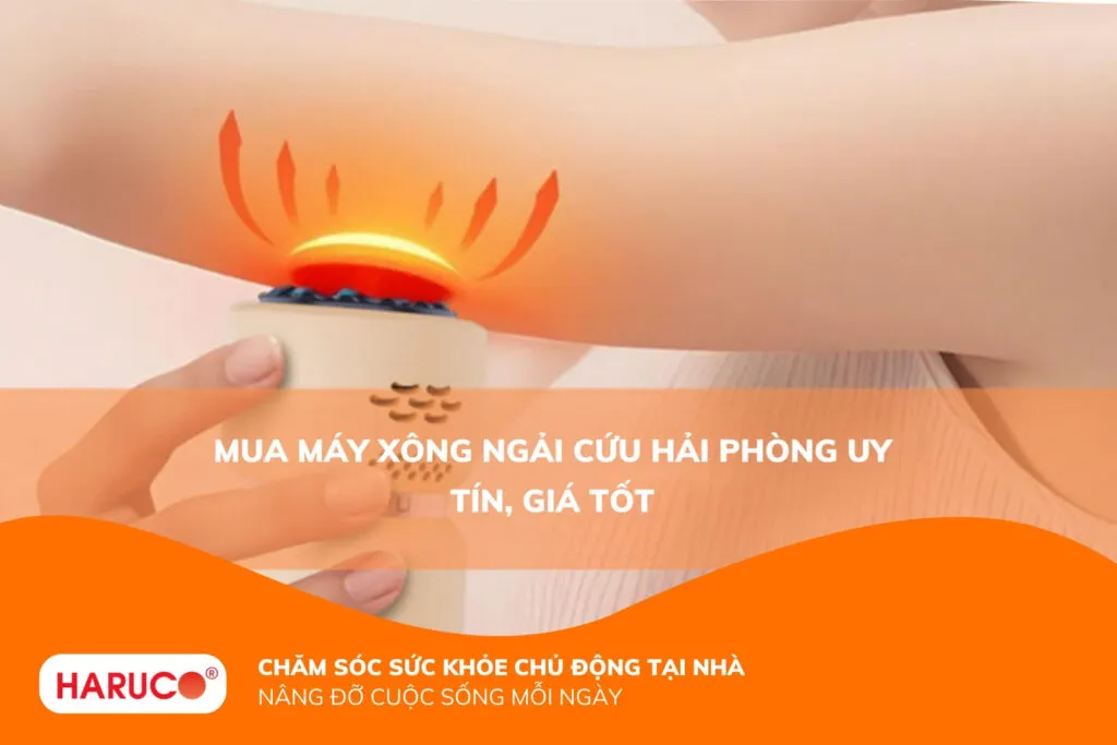 máy xông ngải cứu Hải Phòng