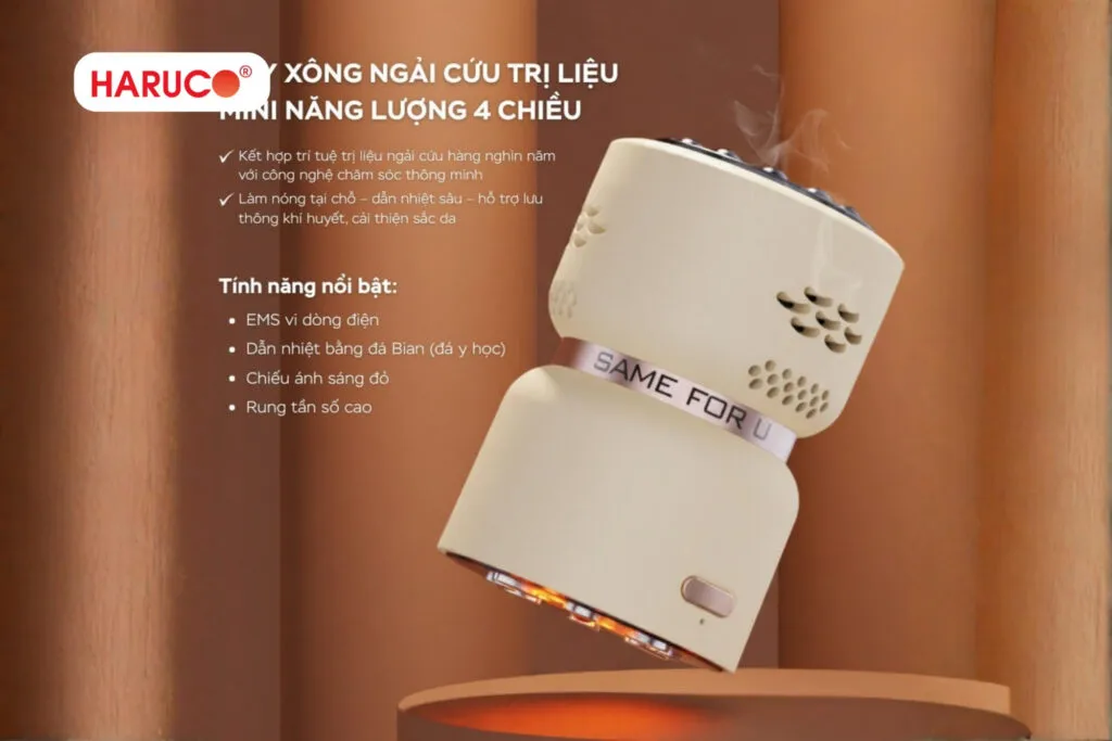 máy xông ngải cứu Hải Phòng