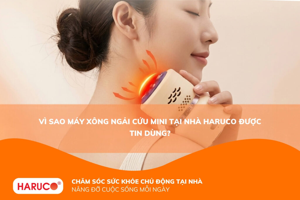 Lý do nên dùng máy xông ngải cứu mini tại nhà của Haruco?