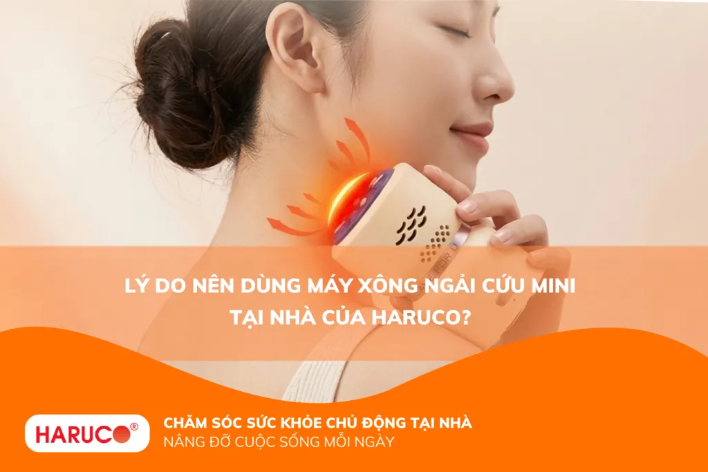 Lý do nên sử dụng máy xông ngải cứu mini tại nhà của Haruco