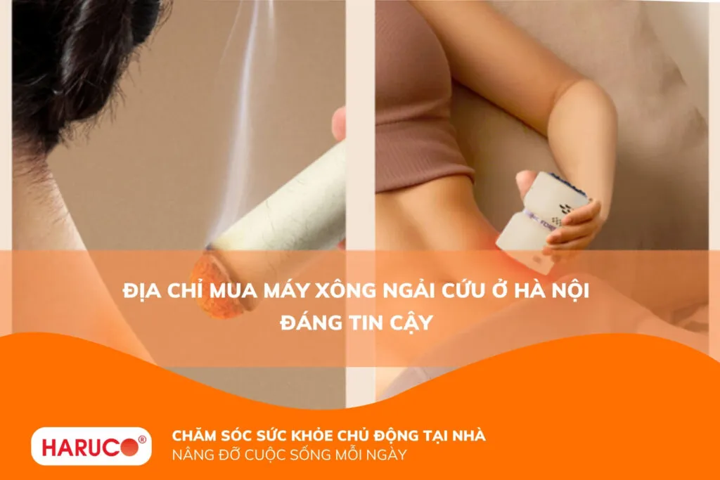 Tìm mua máy xông ngải cứu ở Hà Nội uy tín, giá tốt hiện nay