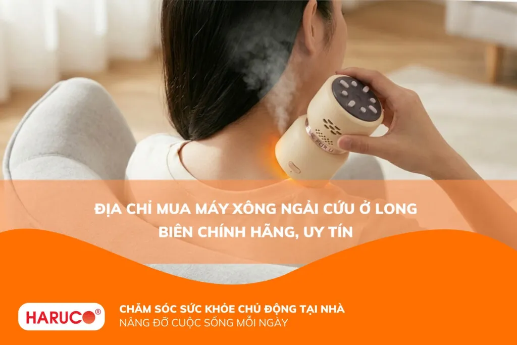 máy xông ngải cứu ở long biên
