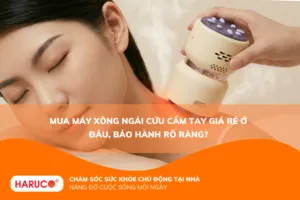máy xông ngải cứu cầm tay giá rẻ