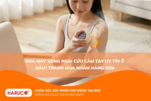 máy xông ngải cứu cầm tay uy tí