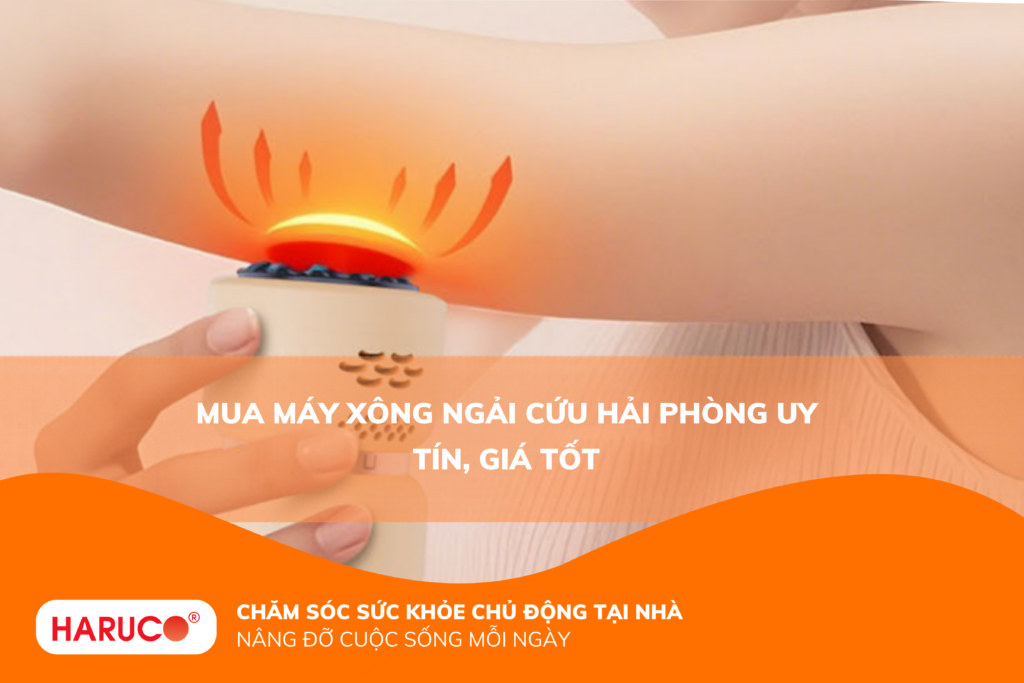 Mua máy xông ngải cứu Hải Phòng uy tín, giá tốt
