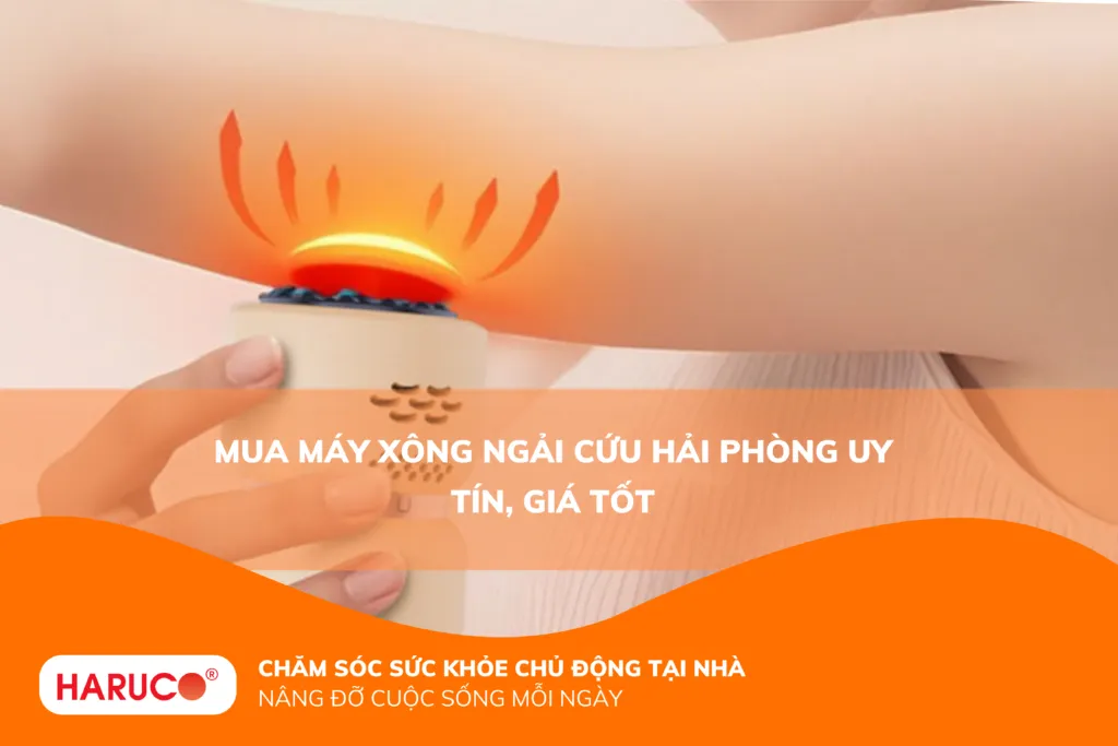 máy xông ngải cứu Hải Phòng