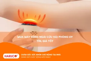 máy xông ngải cứu Hải Phòng