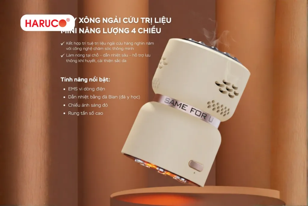 máy xông ngải cứu Hải Phòng