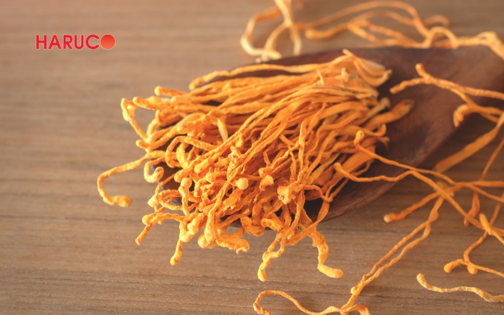 Một gợi ý quà tặng sức khỏe cao cấp chính là đông trùng hạ thảo