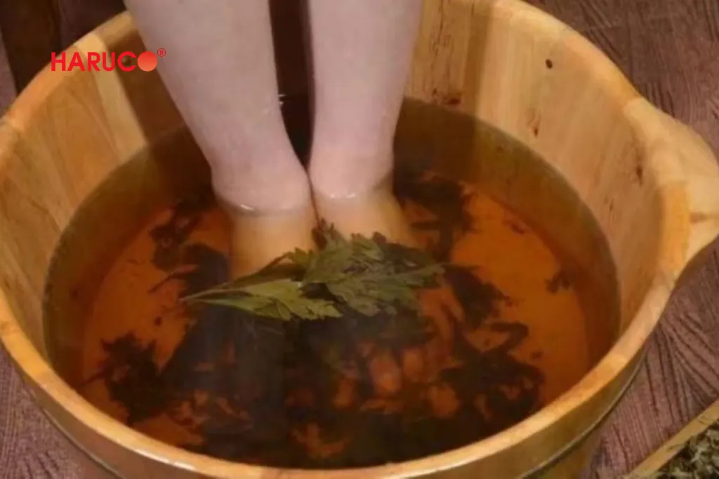 Ngải cứu thường dùng trong ngâm chân thảo dược giúp thư giãn cơ thể
