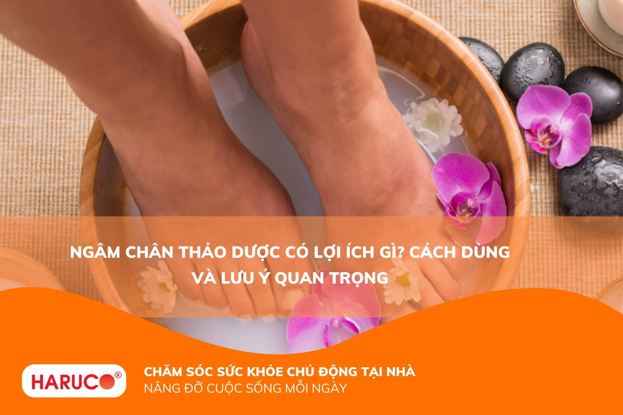 Ngâm chân thảo dược có lợi ích gì? Cách dùng và lưu ý quan trọng