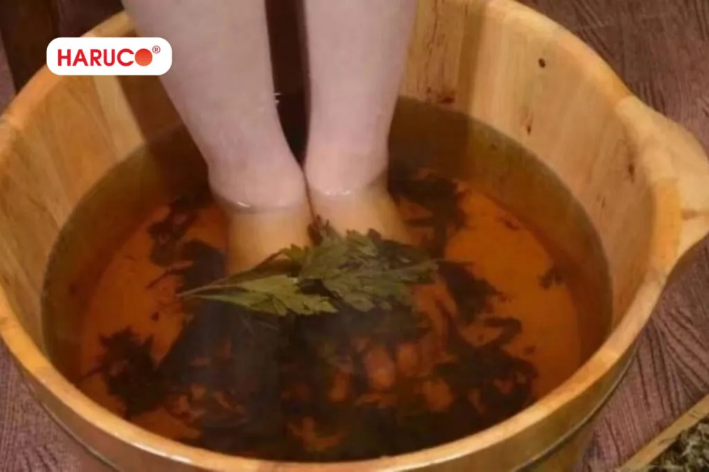 ngâm chân thảo dược tại nhà  từ lá ngải cứu kết hợp với lá lốt 