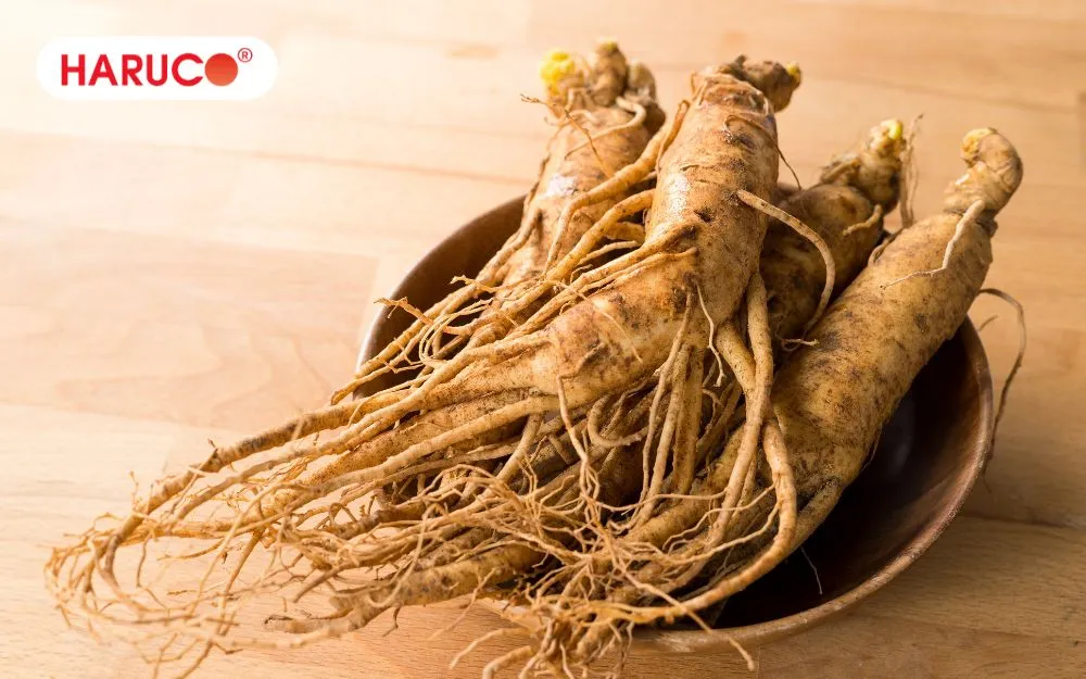 Nhân sâm Hàn Quốc là quà mừng thọ mẹ bổ dưỡng