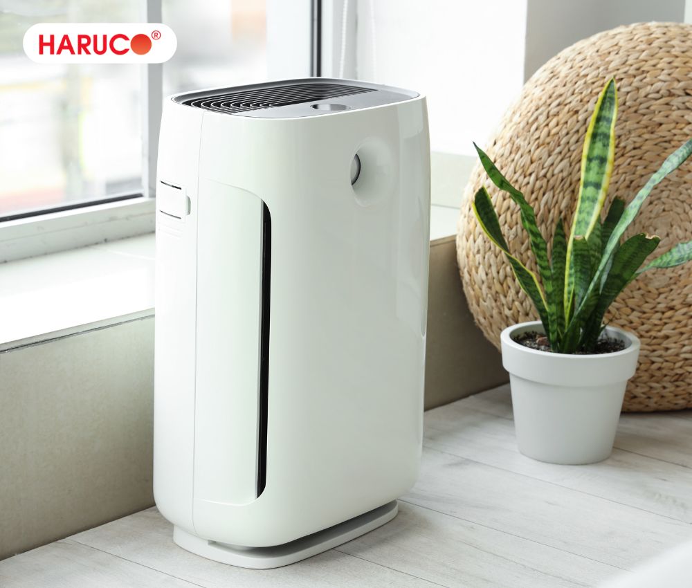 Tặng quà sinh nhật cho bà nội máy lọc không khí để tạo môi trường sống trong lành