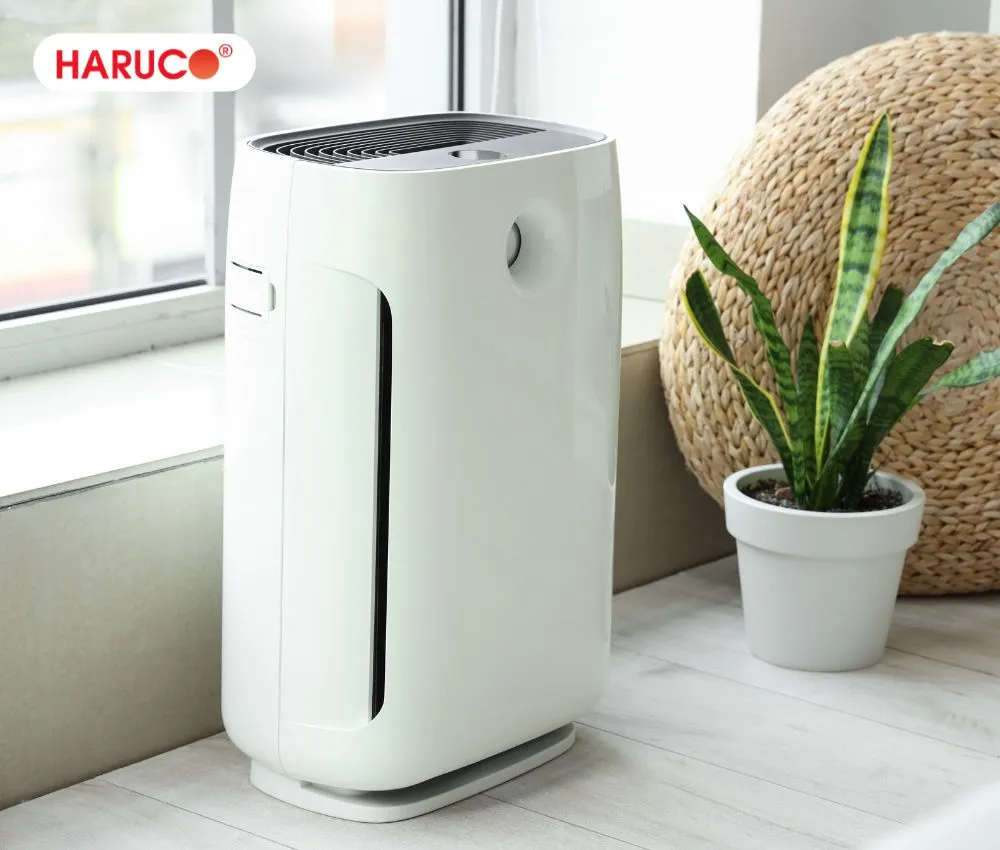 Tặng quà sinh nhật cho bà nội máy lọc không khí để tạo môi trường sống trong lành