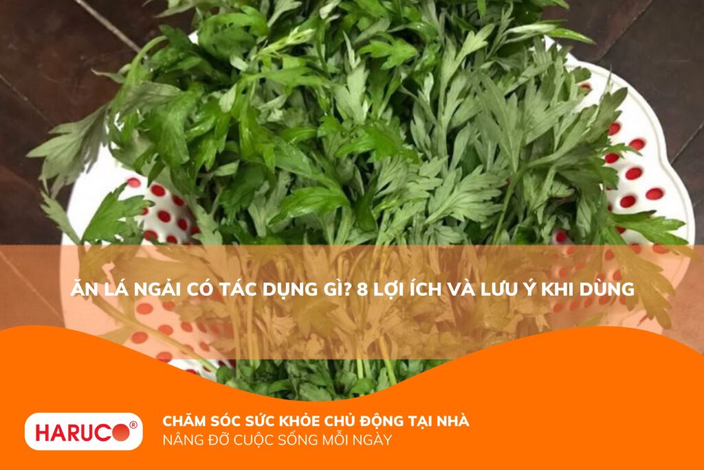 Ăn lá ngải có tác dụng gì? Công dụng, cách ăn và những lưu ý cần biết