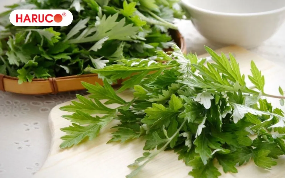 Lá ngải cứu giúp hỗ trợ làm dịu các cơn đau nhức do viêm khớp