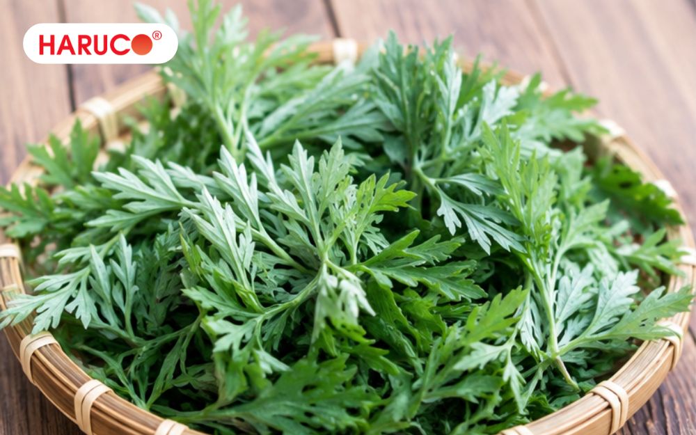 Ăn lá ngải cứu đúng cách giúp cải thiện hệ tiêu hóa